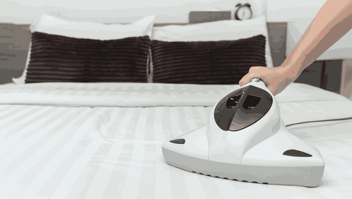 Professional Mattress Cleaning Olinda