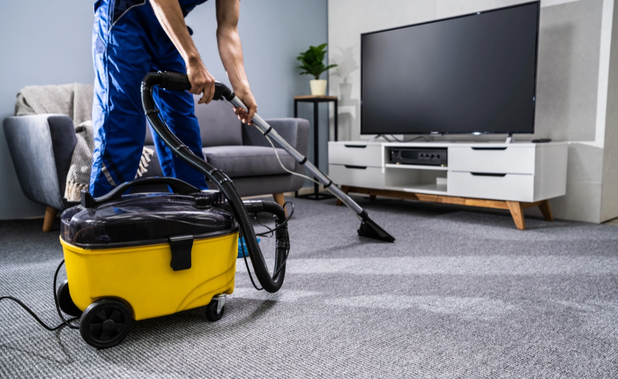 Extract Mattress Cleaning Olinda Contact Office